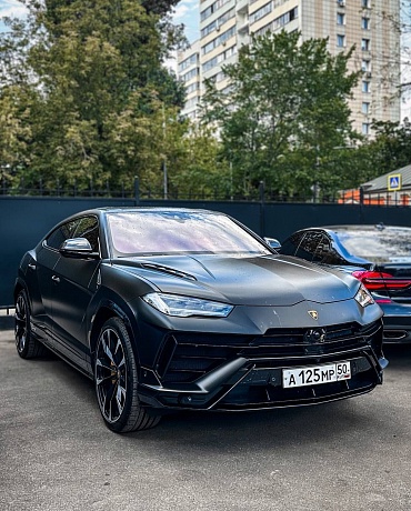 Каталог красивых автономеров Москва